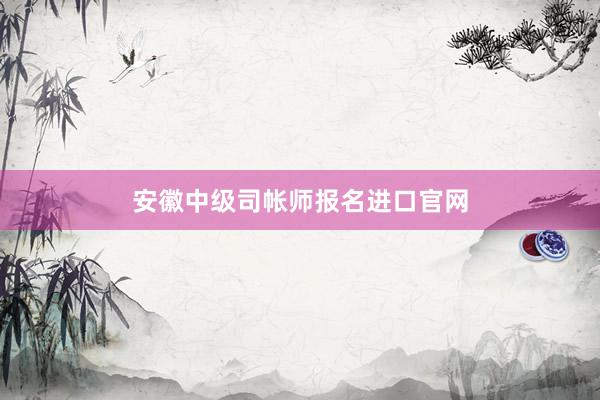 安徽中级司帐师报名进口官网