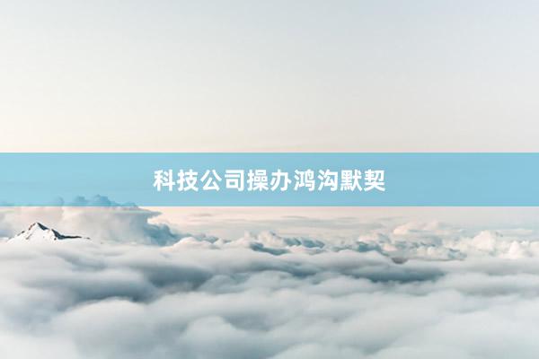 科技公司操办鸿沟默契