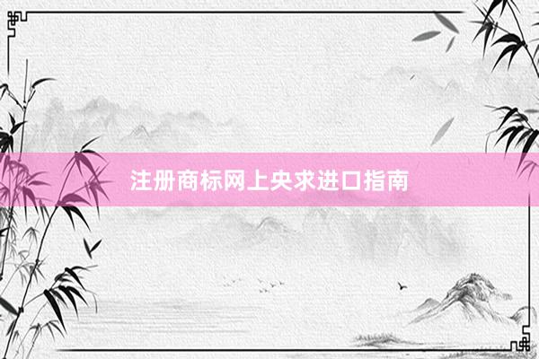 注册商标网上央求进口指南